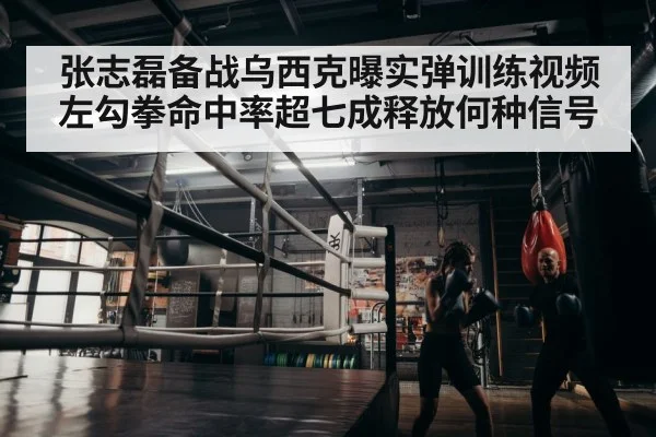 张志磊备战乌西克曝实弹训练视频 左勾拳命中率超七成释放何种信号